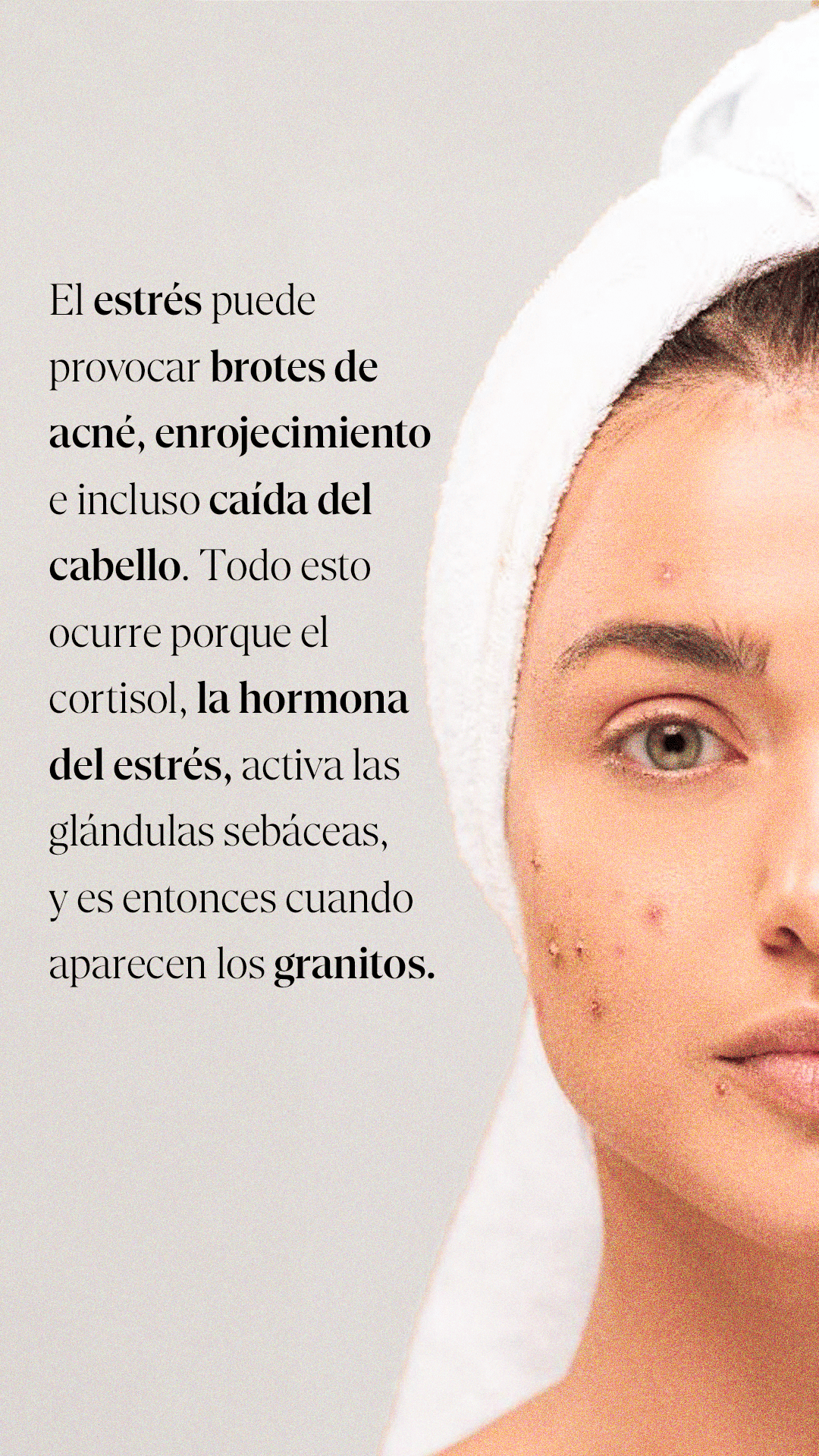 181124-Fermentaris-s2